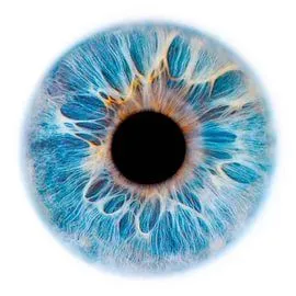 WellScanLife приложение